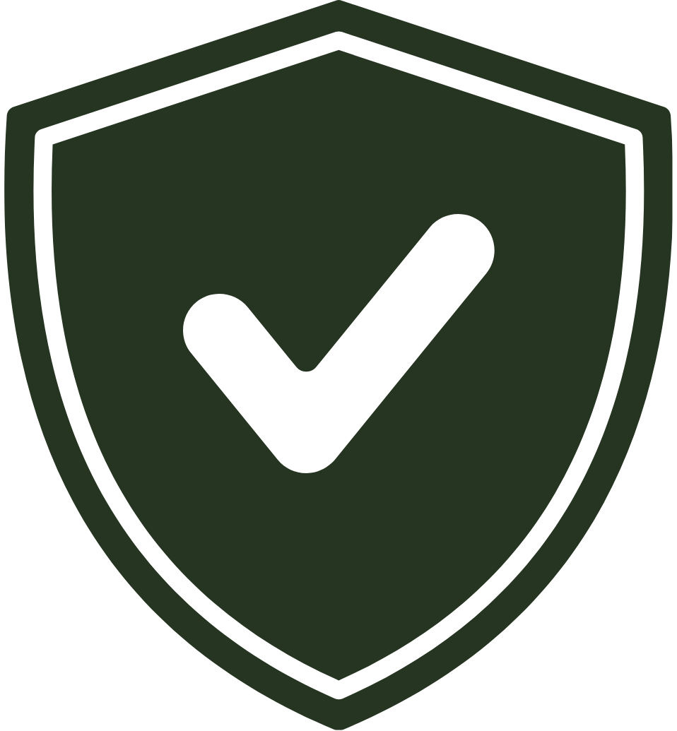 Security Icon